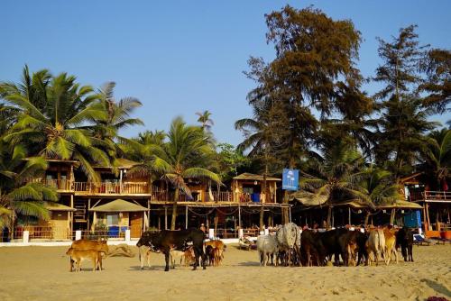 Фотография гостиницы Jardim a Mar