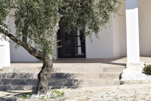 Фотография мини отеля Casa Ziazì Room e Nature