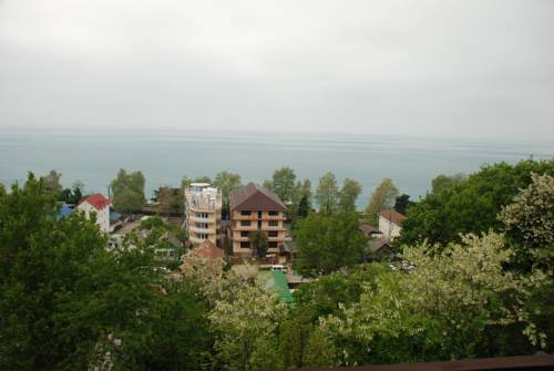 Фотография гостиницы Новикофф