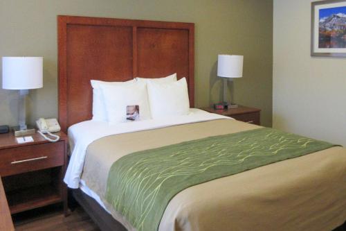 Фотография гостиницы Comfort Inn Bishop