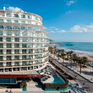 Фотографии гостиницы
Calipolis