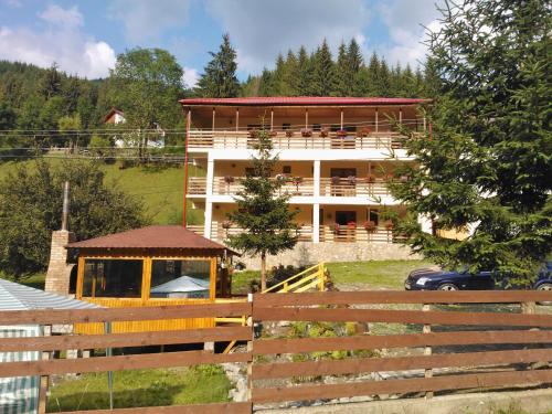 Фотография гостевого дома Vila Bianca Dragusin