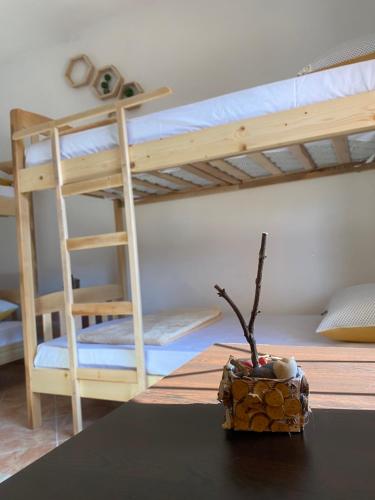 Фотография хостела The Hood Hostel