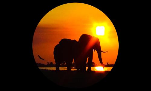 Фотография гостевого дома Elephant Trail Guesthouse and Backpackers