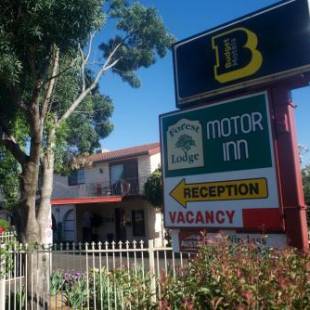 Фотографии мотеля
Forest Lodge Motor Inn & Restaurant