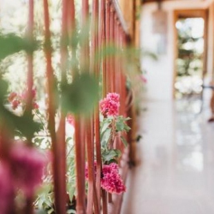 Фотография гостиницы Hotel Javy