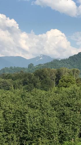 Фотографии гостевого дома 
            Guest House Legva Adjara