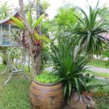 Фотография гостевого дома Choengmon Residence