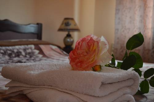 Фотографии мини отеля
Консул