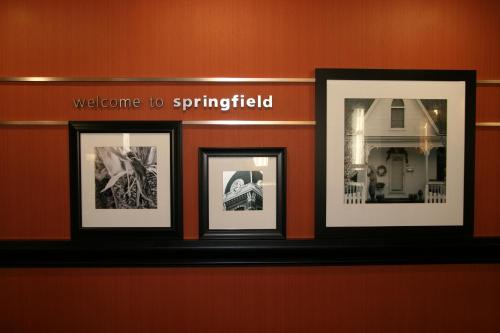 Фотография гостиницы Hampton Inn & Suites, Springfield SW