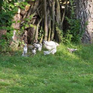 Фотографии гостевого дома
Holiday home OSSA Basecamp