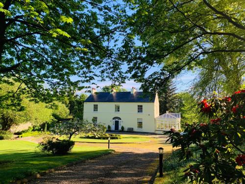 Фотография мини отеля Larchmount House B&B