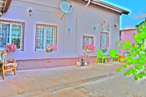 Фотография гостевого дома Ipekyolu Garden