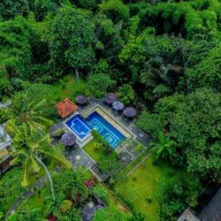 Фотографии базы отдыха
Alas Petulu Villa Resort and Spa