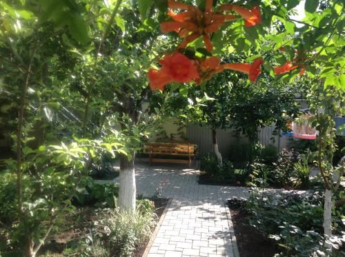 Фотографии гостевого дома
Арина на Шевченко, 130