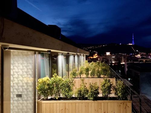 Фотографии гостиницы
Green Floor