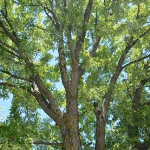 Фотографии мотеля 
            Motel Chez Nous