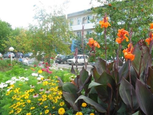 Фотографии санатория
Ахтуба