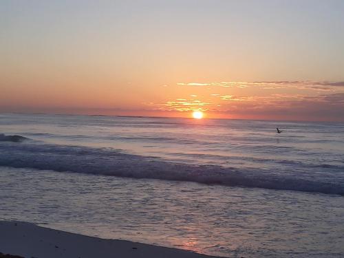 Фотография мини отеля Chancabañita Tulum