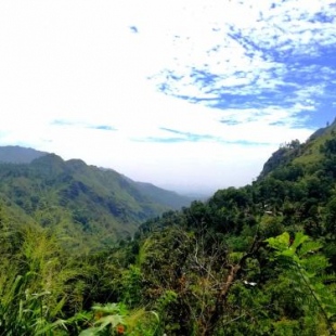 Фотография гостиницы Ella Sunrise