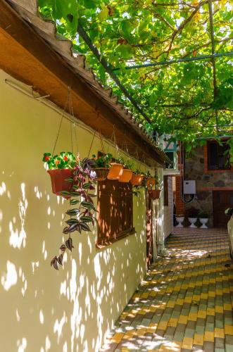 Фотография гостевого дома Дача