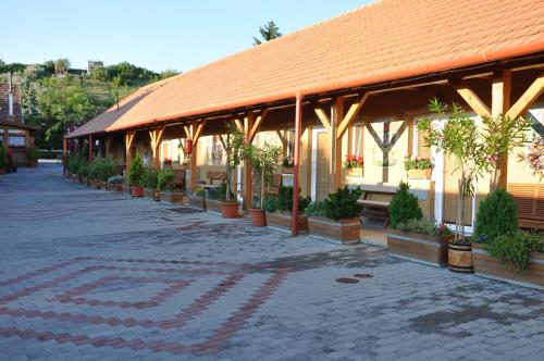 Фотография мини отеля Vadvirág Vendéglő és Panzió