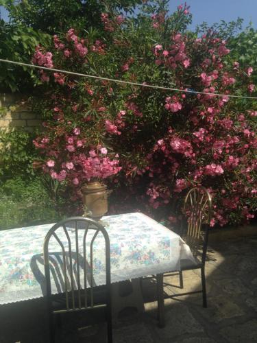 Фотографии гостевого дома
Дом с садом на Рзаева, 7