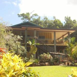 Фотографии мини отеля
Licuala Lodge