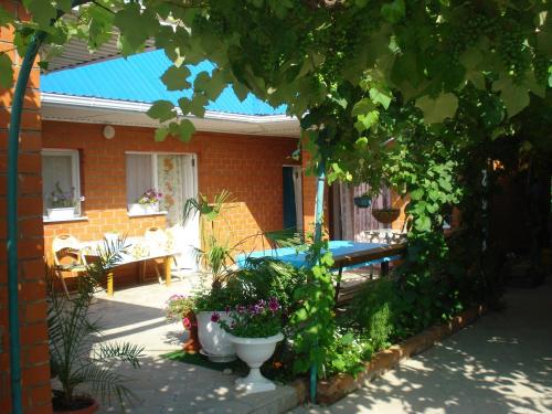 Фотография мини отеля Ласточка