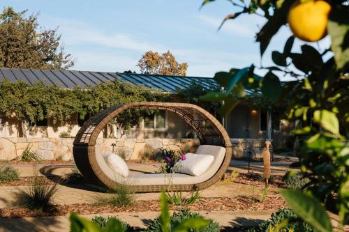 Фотография гостиницы Hotel Ynez