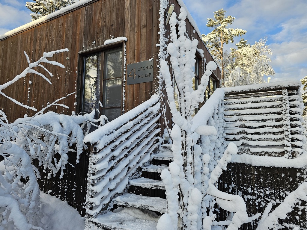Фотография Коттеджа Коттедж Черничный Склон Green House