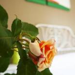 Фотография гостевого дома Alexander Rooms