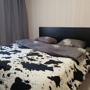 Фотография квартиры Квартира на Евгения Золотухина 14