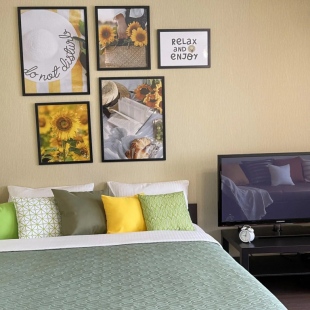 Фотография квартиры 1 комнатные апартаменты на улице Цандера 7