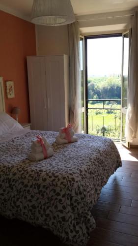 Фотография гостевого дома Platea Oche