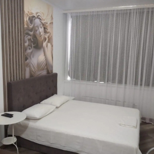 Фотография квартиры Апартаменты Apartanik Малышева 42 а-312