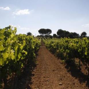 Фотографии гостевого дома
Domaine Les Perpetus