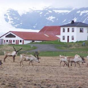 Фотографии гостевого дома
Guesthouse Holmur