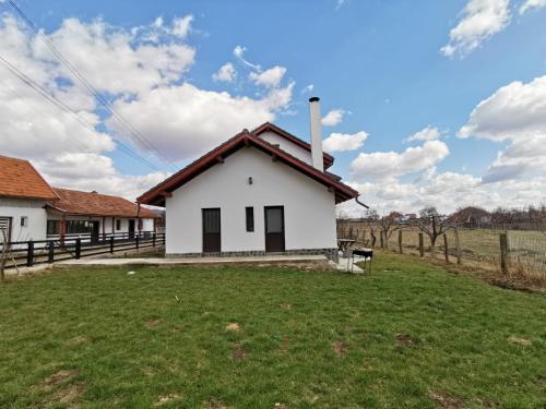 Фотография гостевого дома Pensiunea Alina