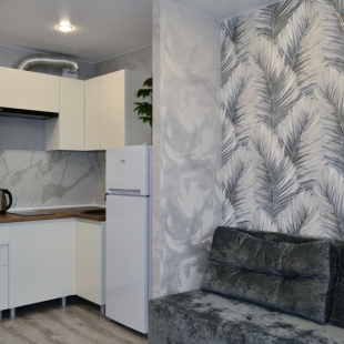 Фотография квартиры Квартира Студия ЭмиЛи - Быстро удобно уютно