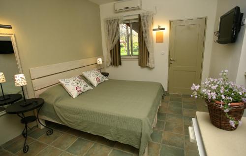 Фотография гостиницы Shaar Hagolan Kibbutz Country Lodging