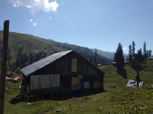 Фотография гостиницы Бахмаро