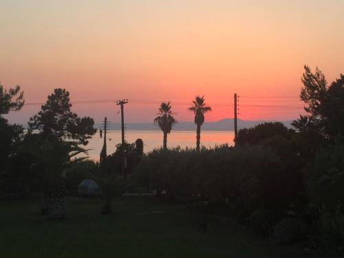 Фотография гостевого дома Xsoma Villa