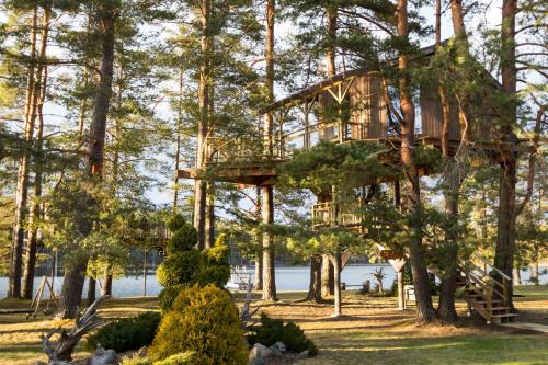 Фотография гостевого дома Treehouse Čiekurs