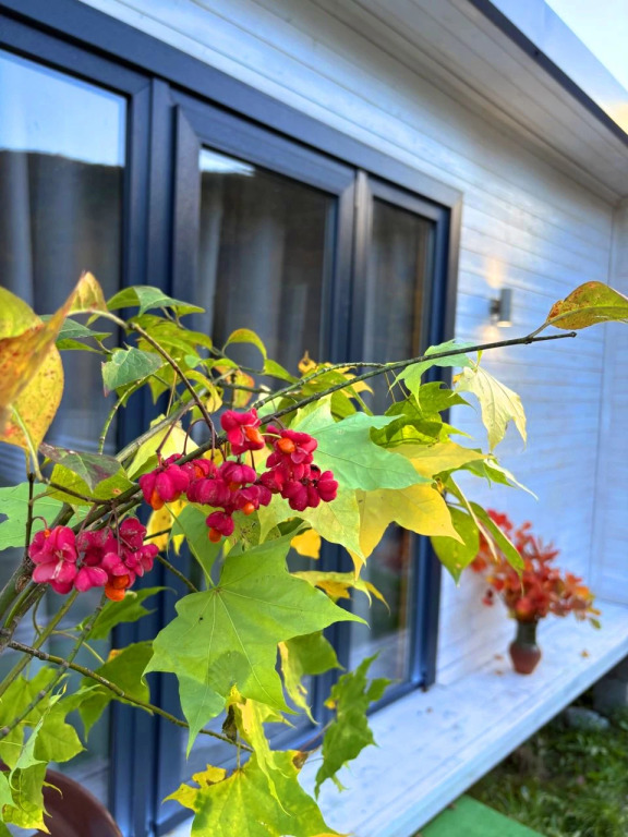 Фотография Коттеджа Коттедж Под звездами Стандарт