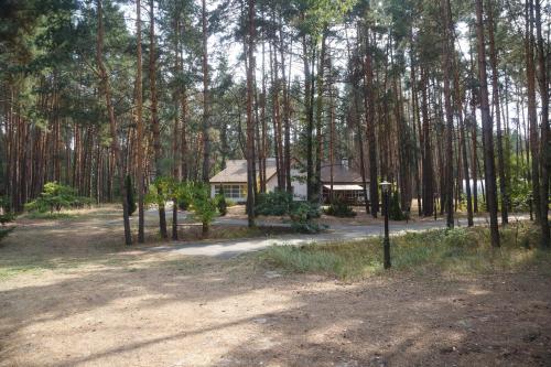 Фотографии мини отеля
Свитязь