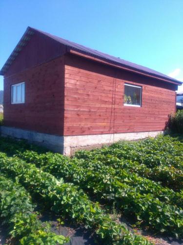 Фотография гостевого дома В Солзане