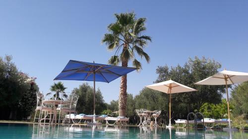 Фотография мини отеля Douar Lain