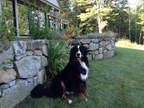 Фотография мини отеля Riverhouse