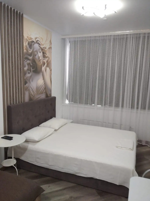 Фотография квартиры Апартаменты Apartanik Малышева 42 а-312